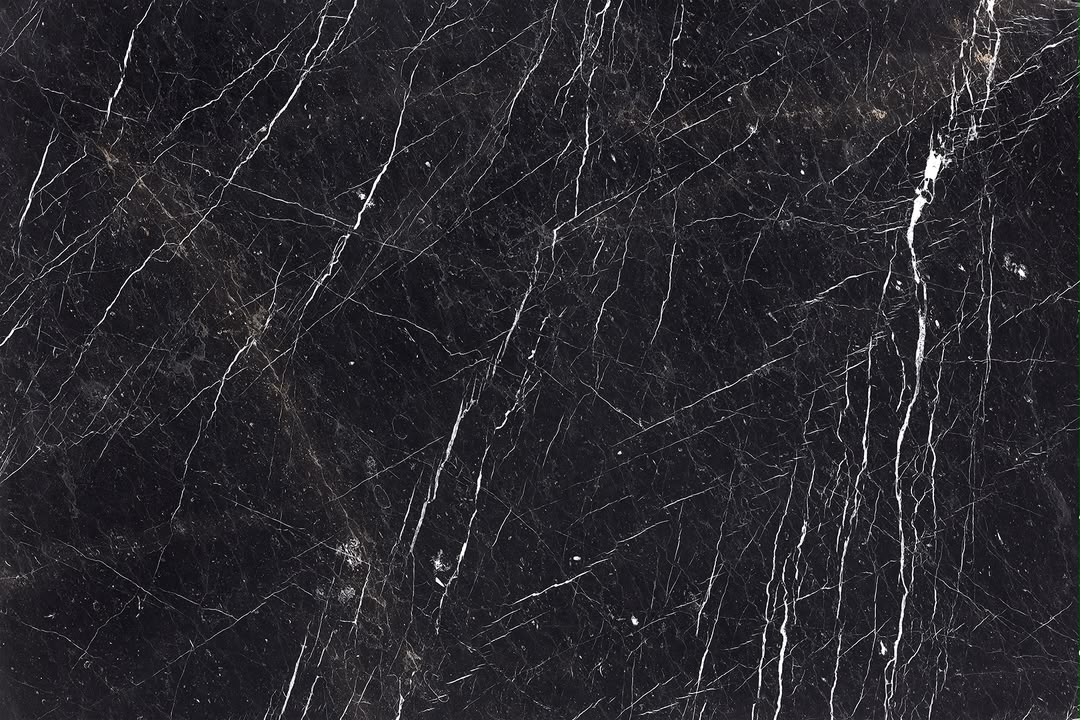 Black stone crossed by fine white veins